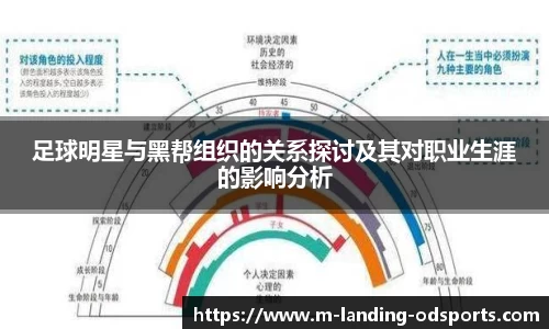 OD体育官方网站